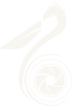 Pelican Drones watermark mark in pale cream